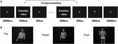 Cross-Subject Commonality of Emotion Representations in Dorsal Motion-Sensitive Areas